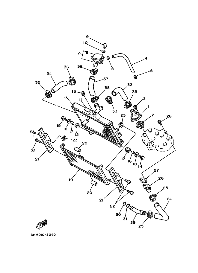 Radiator Hose