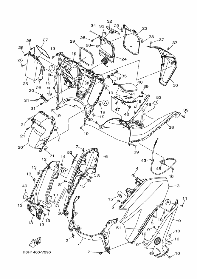 Leg Shield