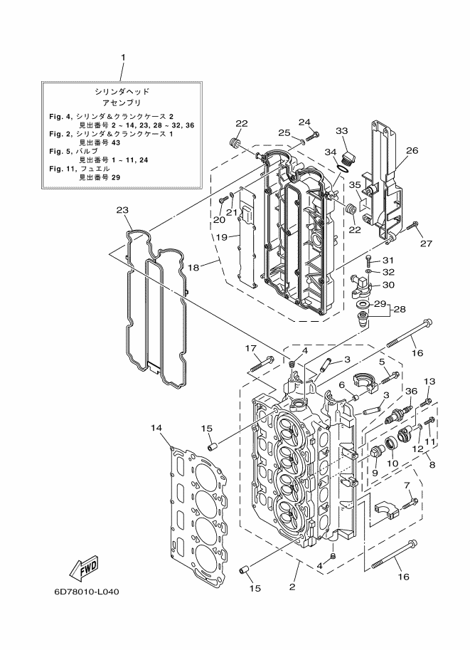Cylinder & Crank Case