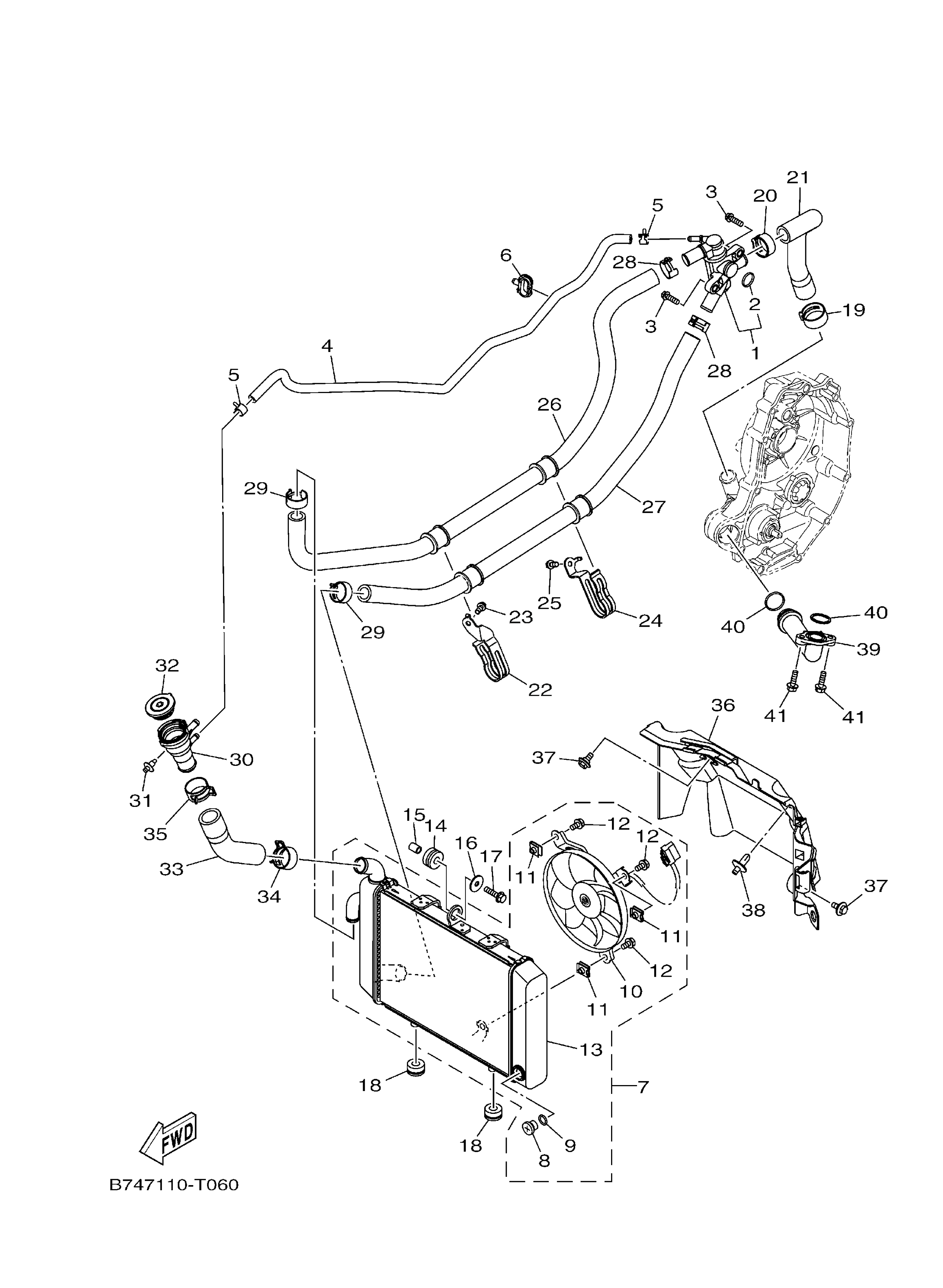 Radiator & Hose