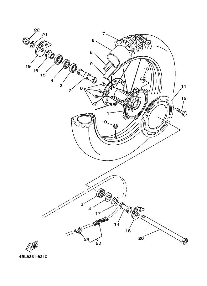 Rear Wheel