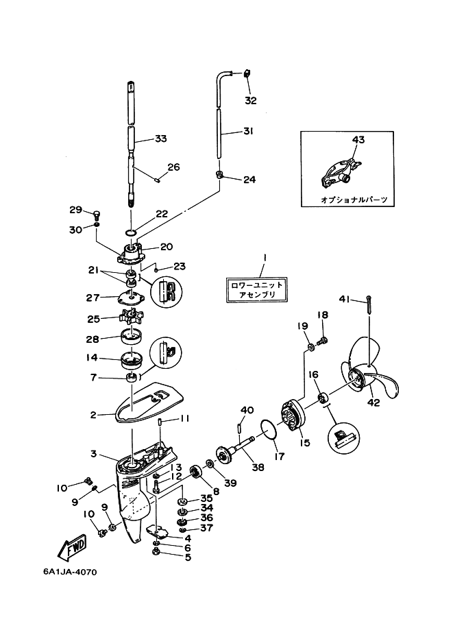 Lower Casing Drive