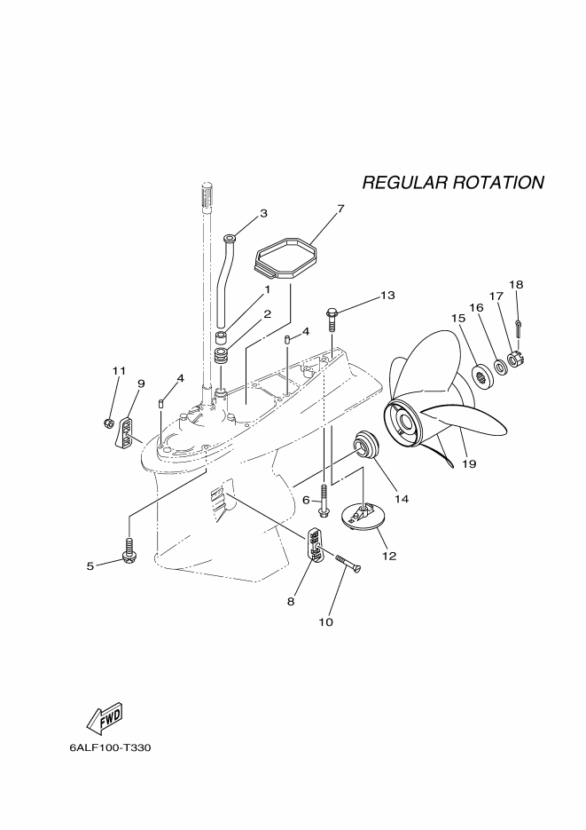 Lower Casing & Drive