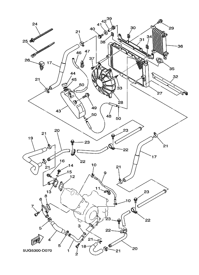 Radiator Hose
