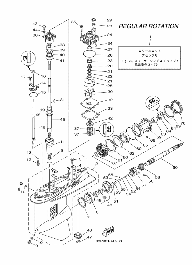 Lower Casing & Drive