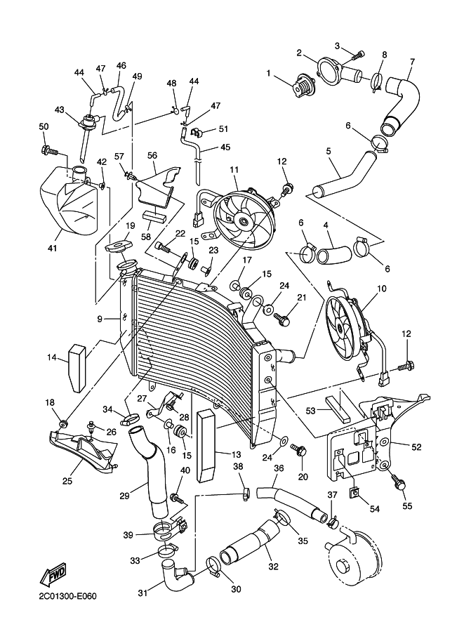 Radiator & Hose