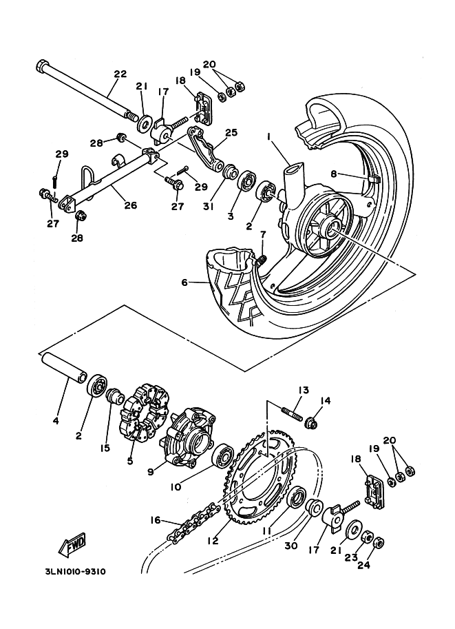 Rear Wheel