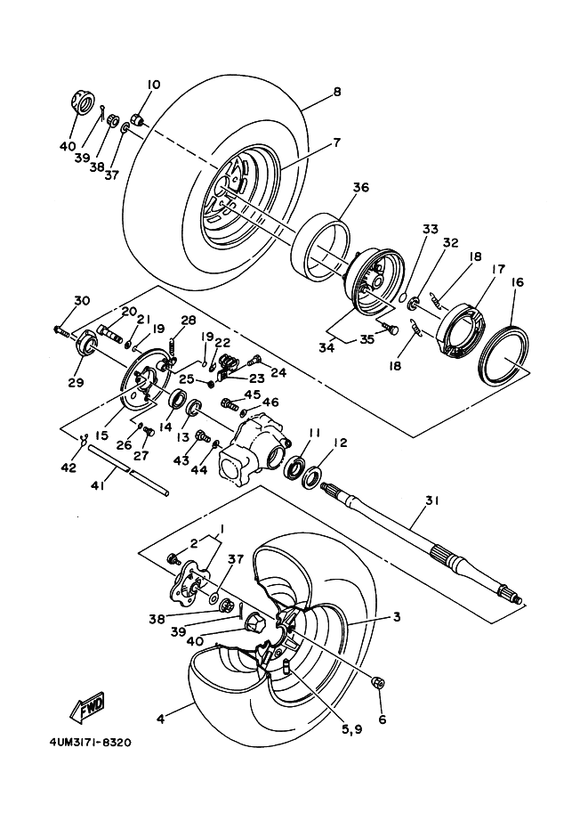 Rear Wheel