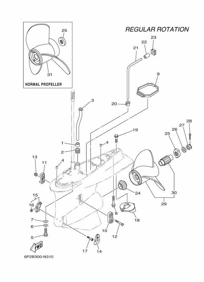 Lower Carter and Guide