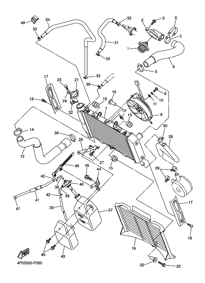 Radiator Hose