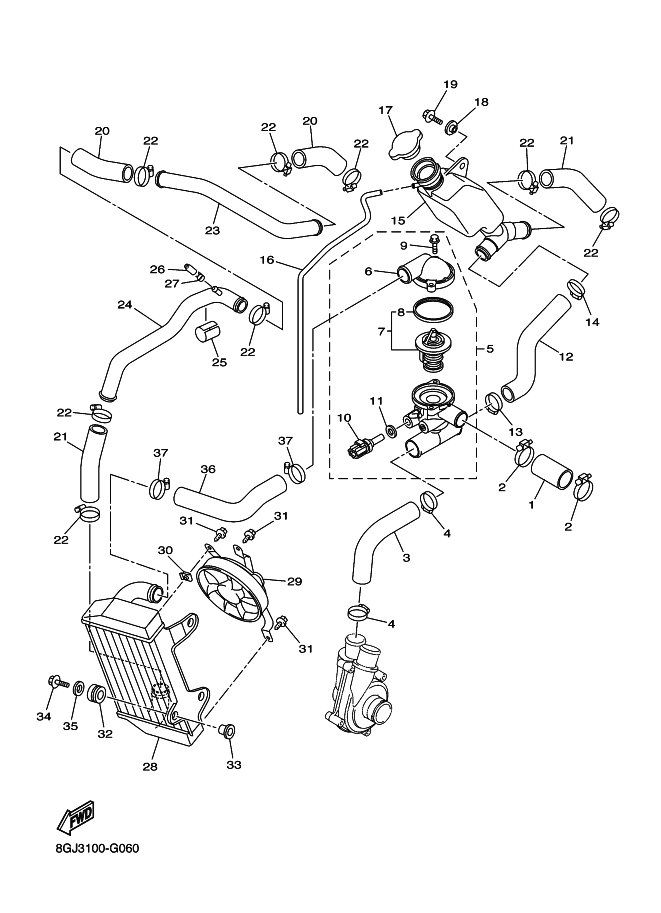 Radiator Hose