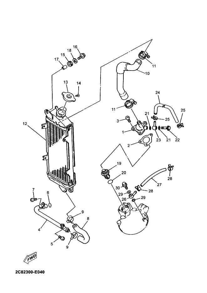 Radiator Hose