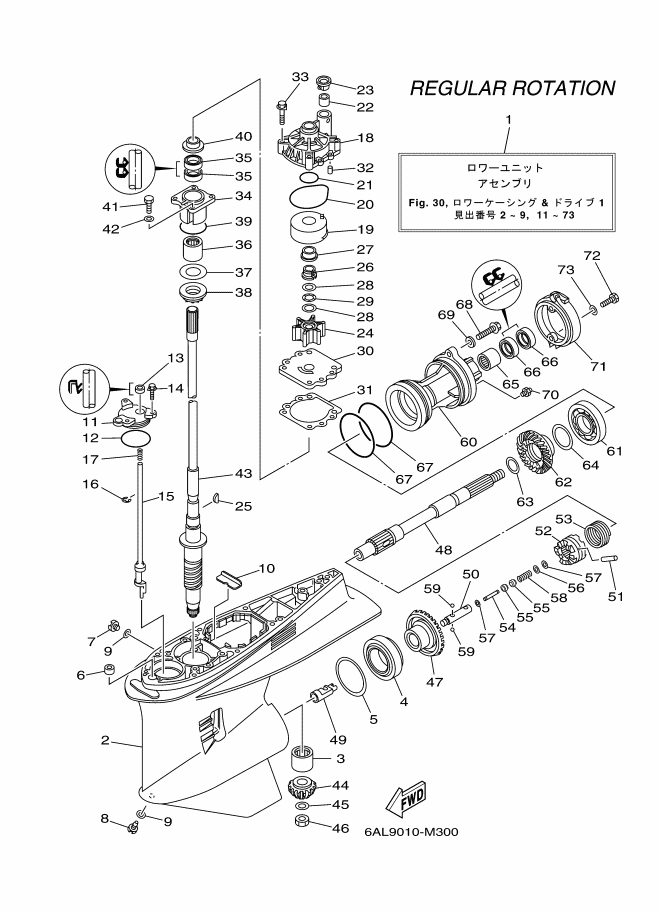 Carcasa inferior y unidad