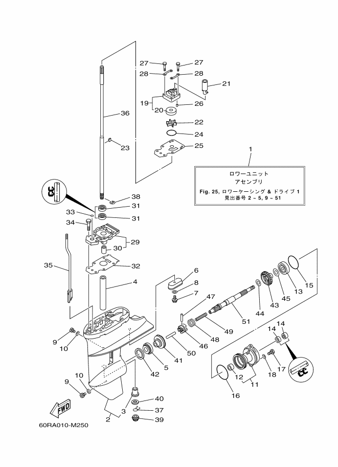 Lower Casing & Drive