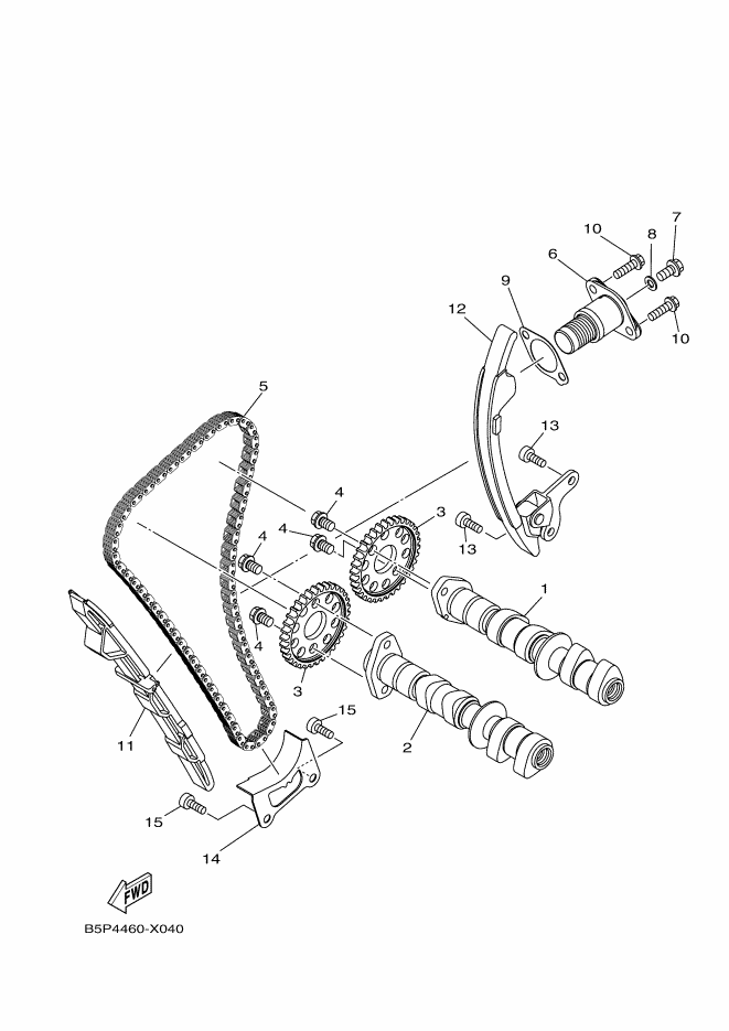 Camshaft & Chain