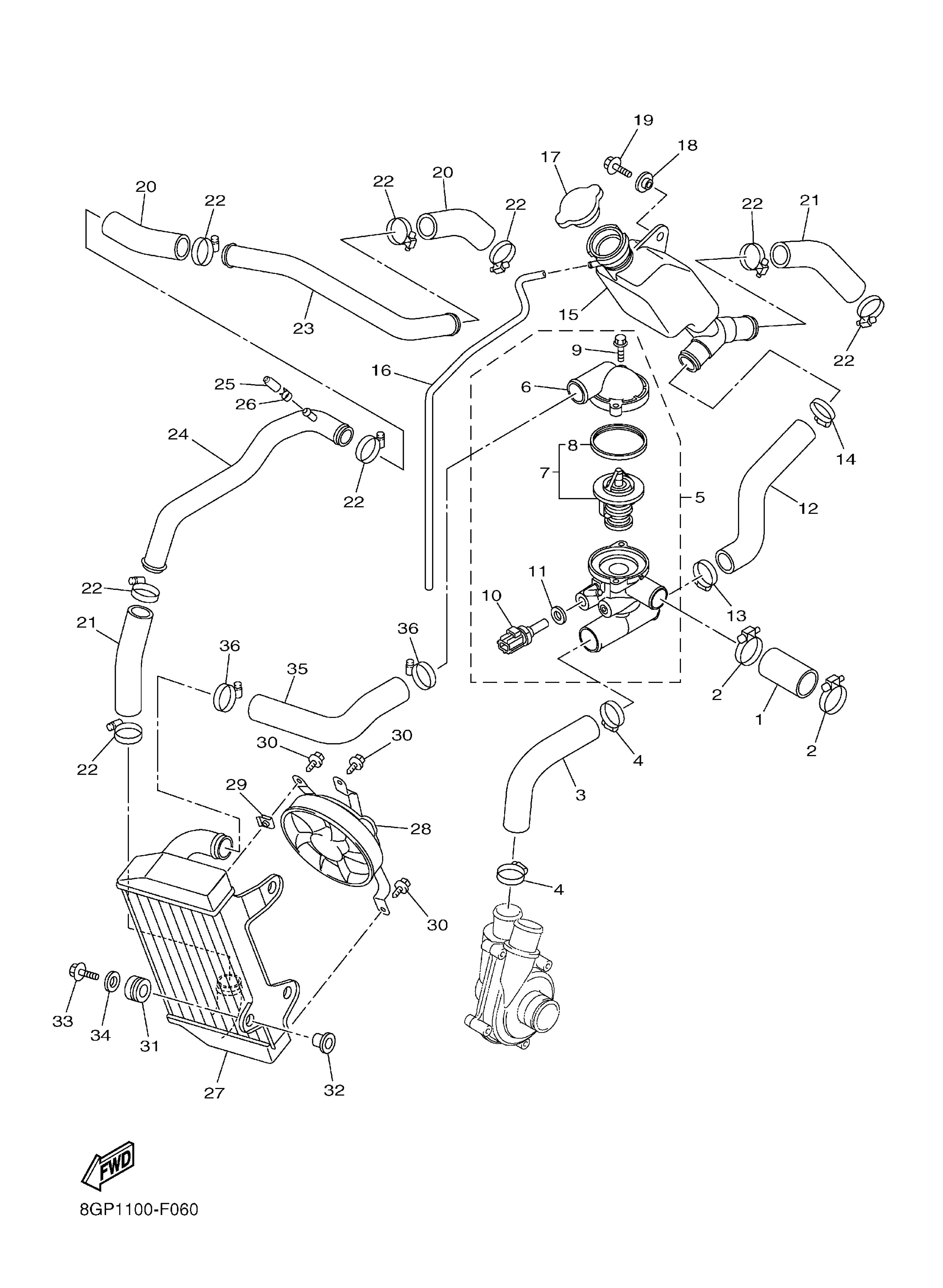 Radiator Hose