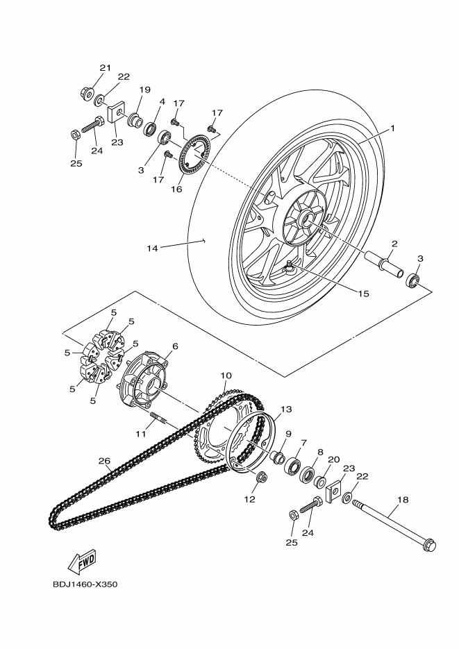 Rear Wheel