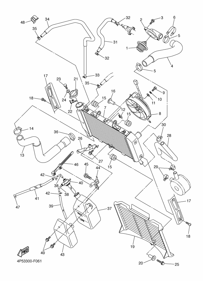 Radiator Hose