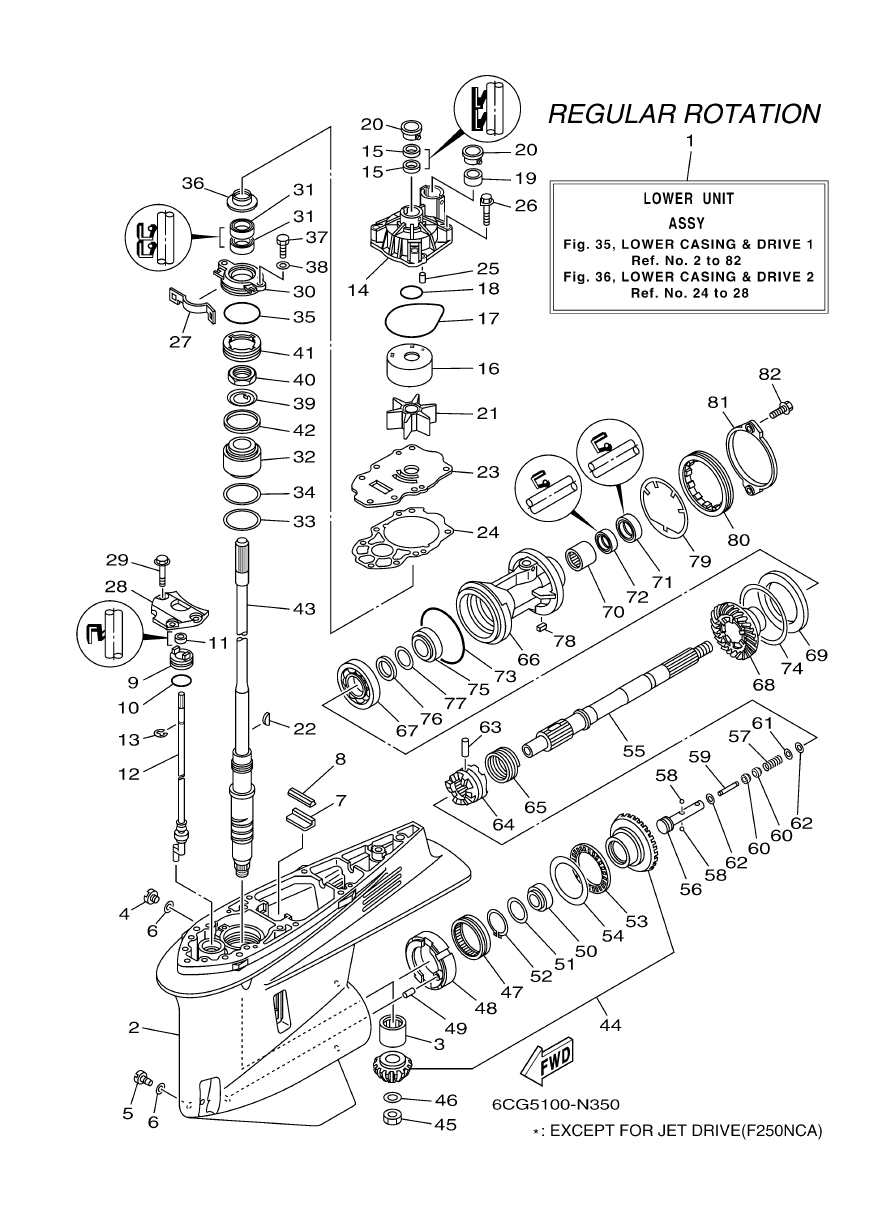 Lower Casing & Drive