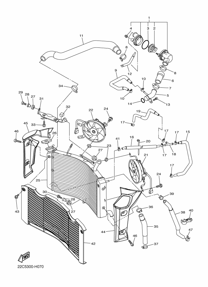 Radiator Hose