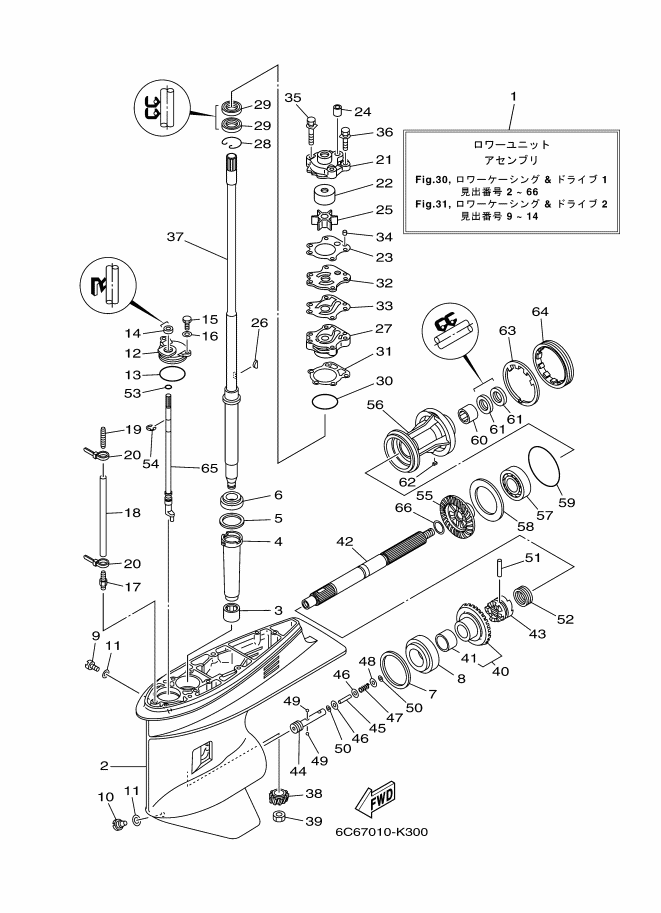 Lower Casing & Drive
