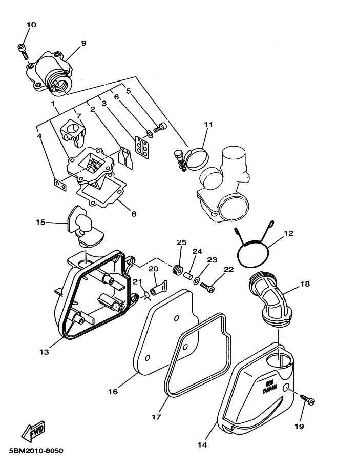 Intake