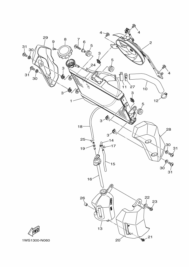Radiator & Hose