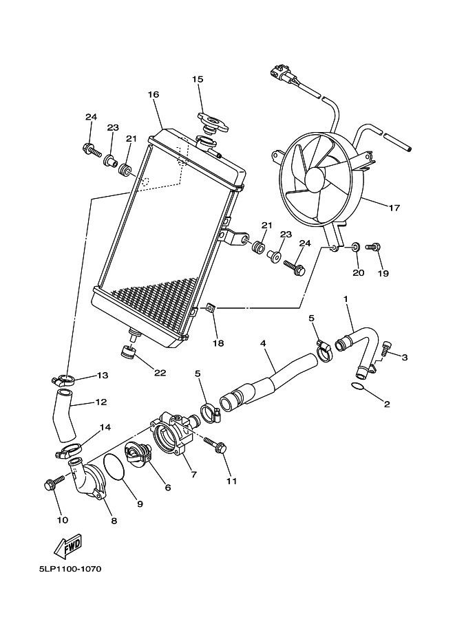 Radiator Hose