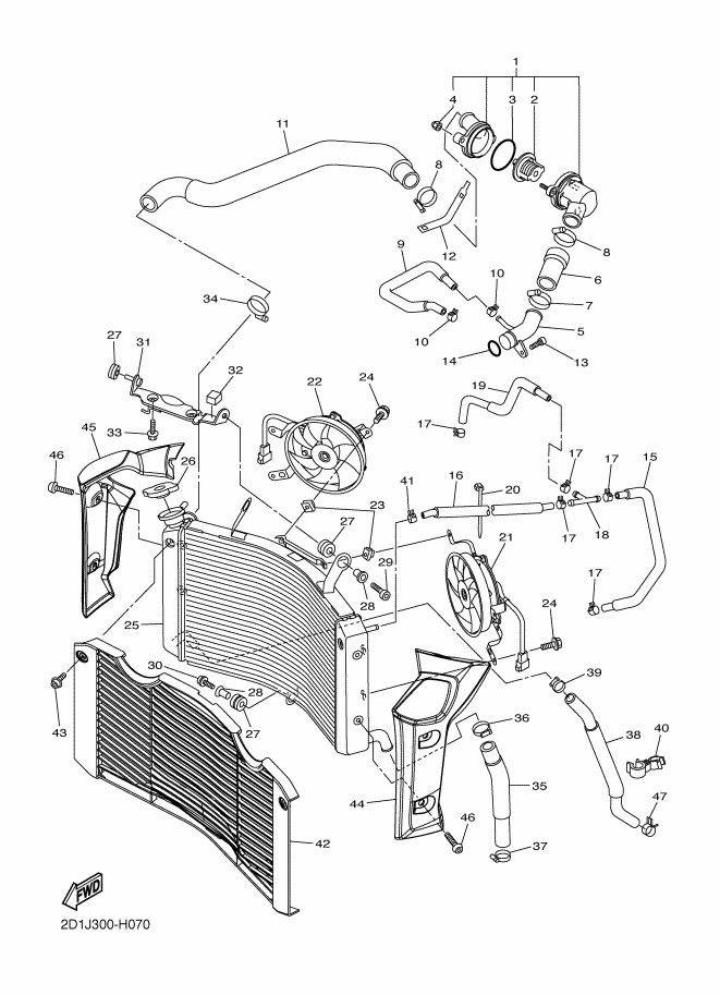 Radiator Hose