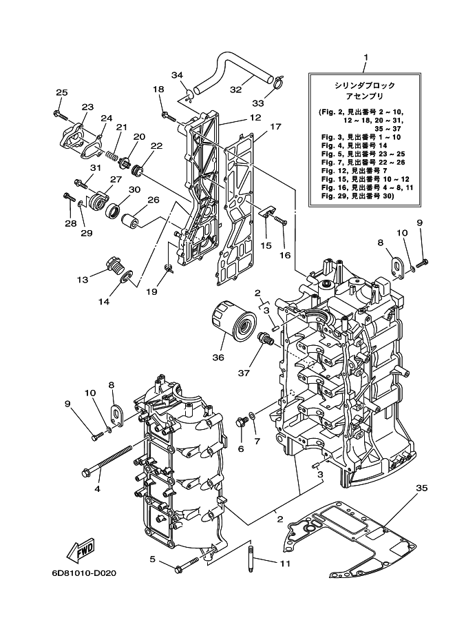Cylinder & Crank Case