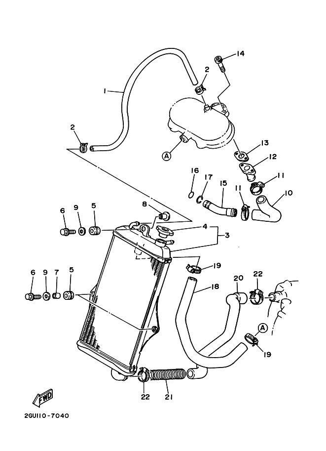 Radiator Hose