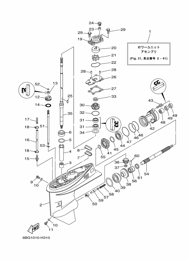 Lower Casing & Drive