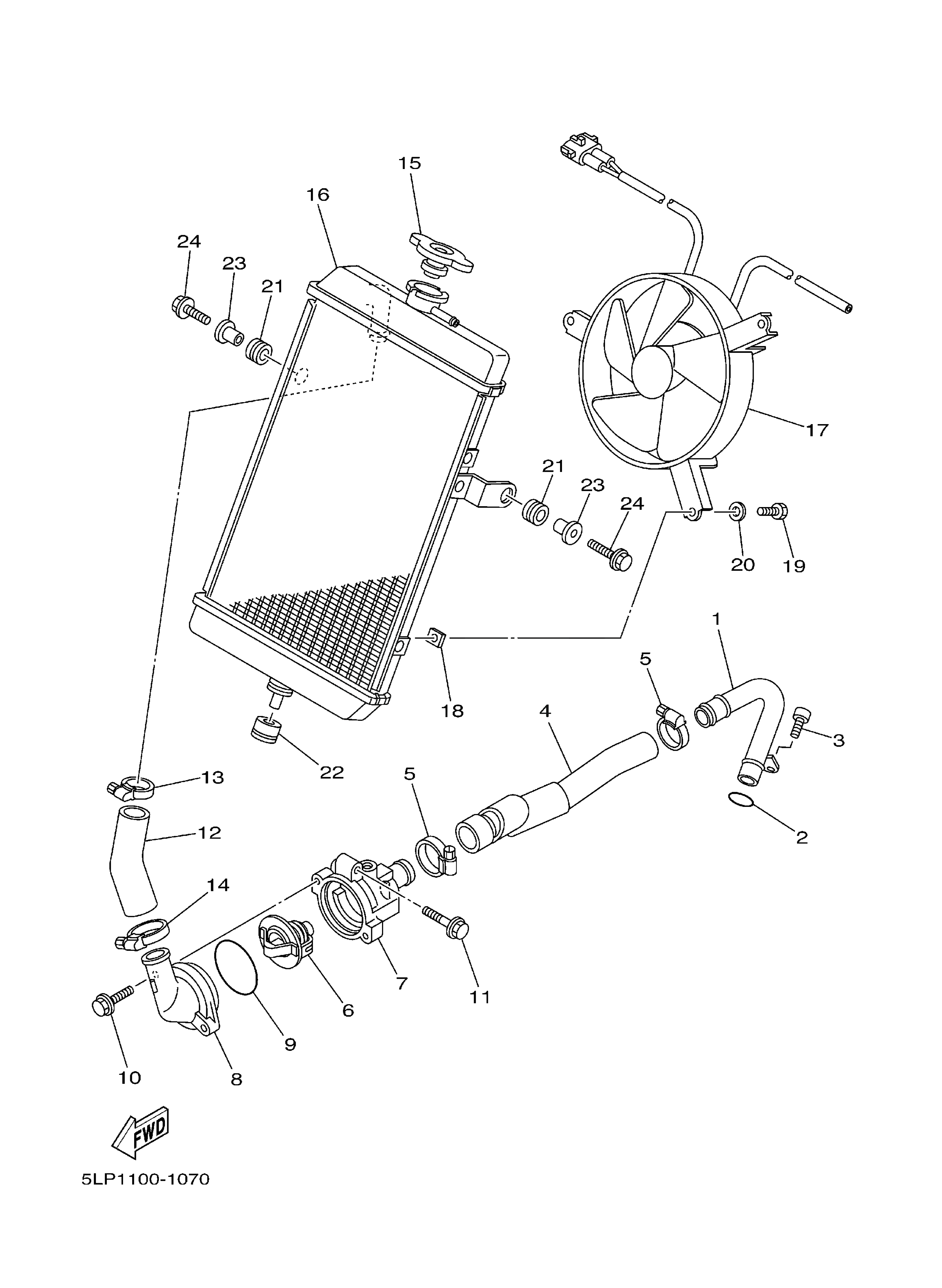 Radiator Hose