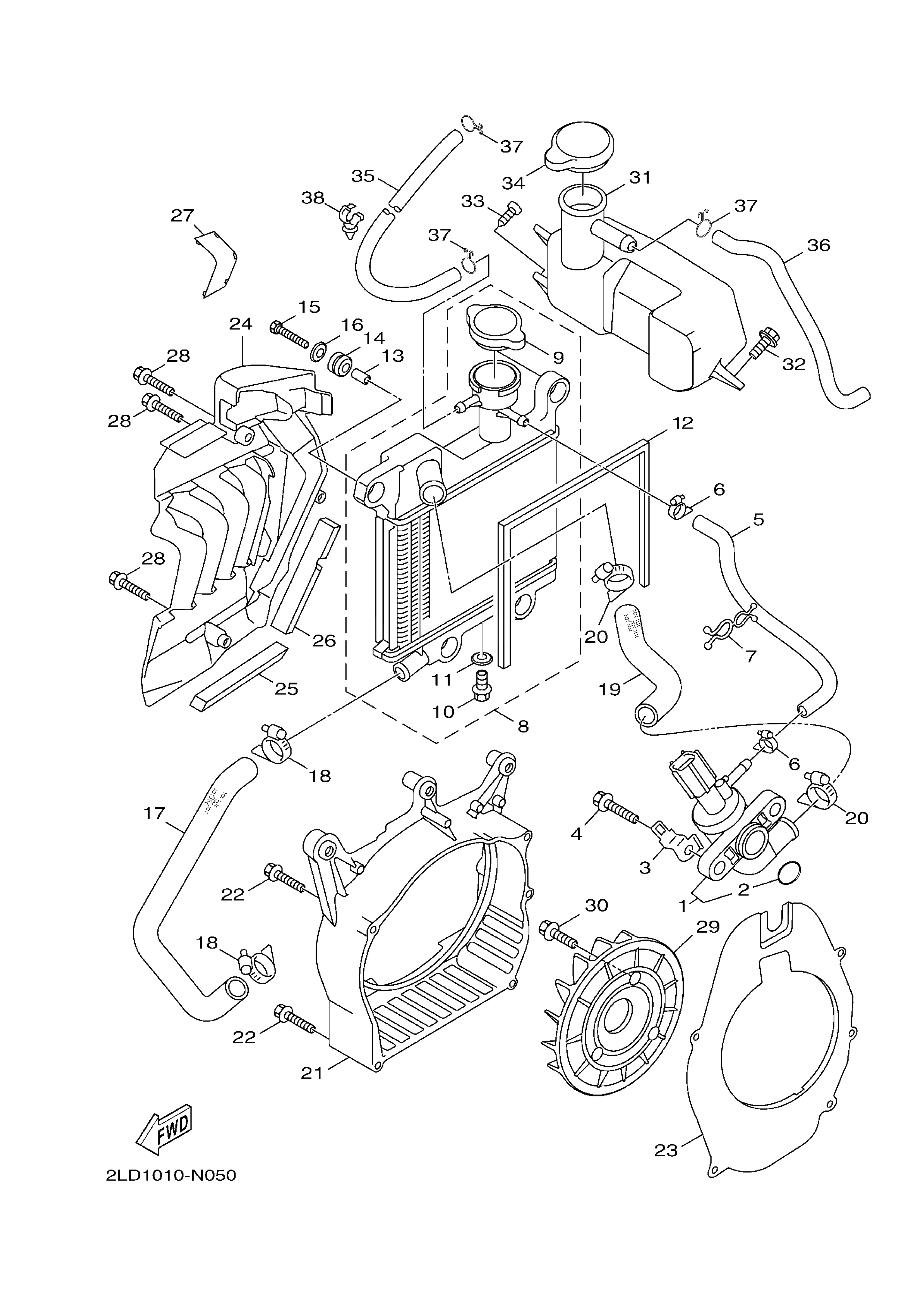 Radiator & Hose