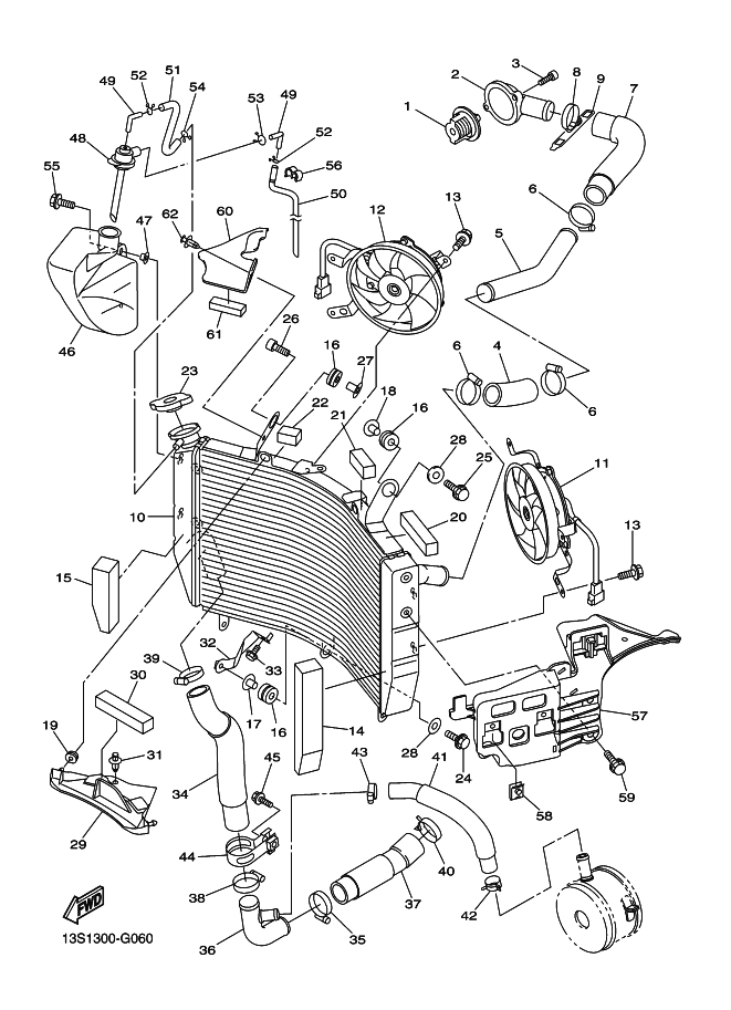 Radiator & Hose