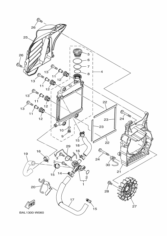 Radiator & Hose