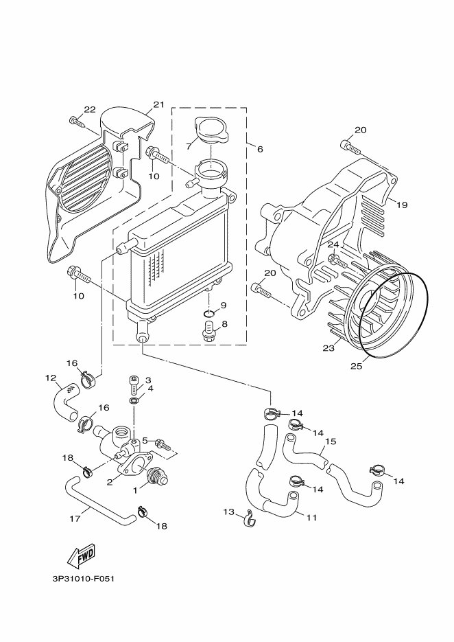 Radiator & Hose