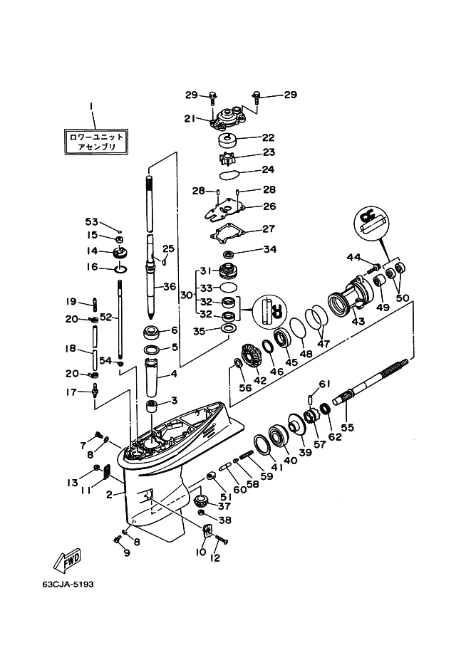 Lower Casing Drive