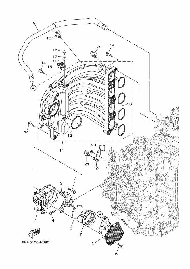 Intake