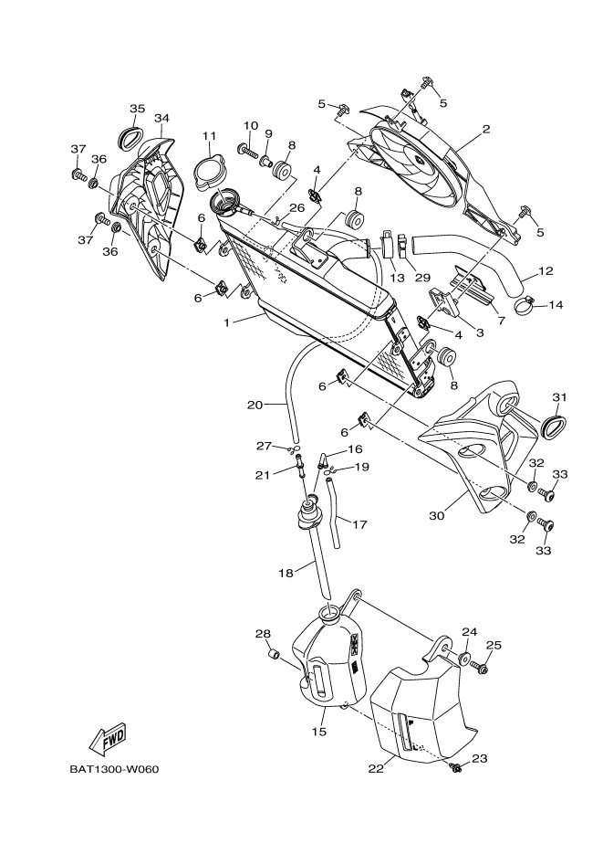Radiator & Hose