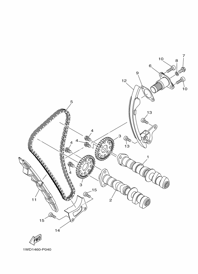 Camshaft & Chain