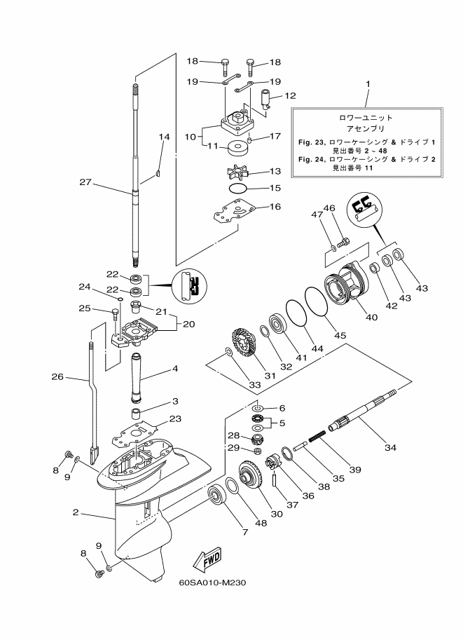 Lower Casing & Drive