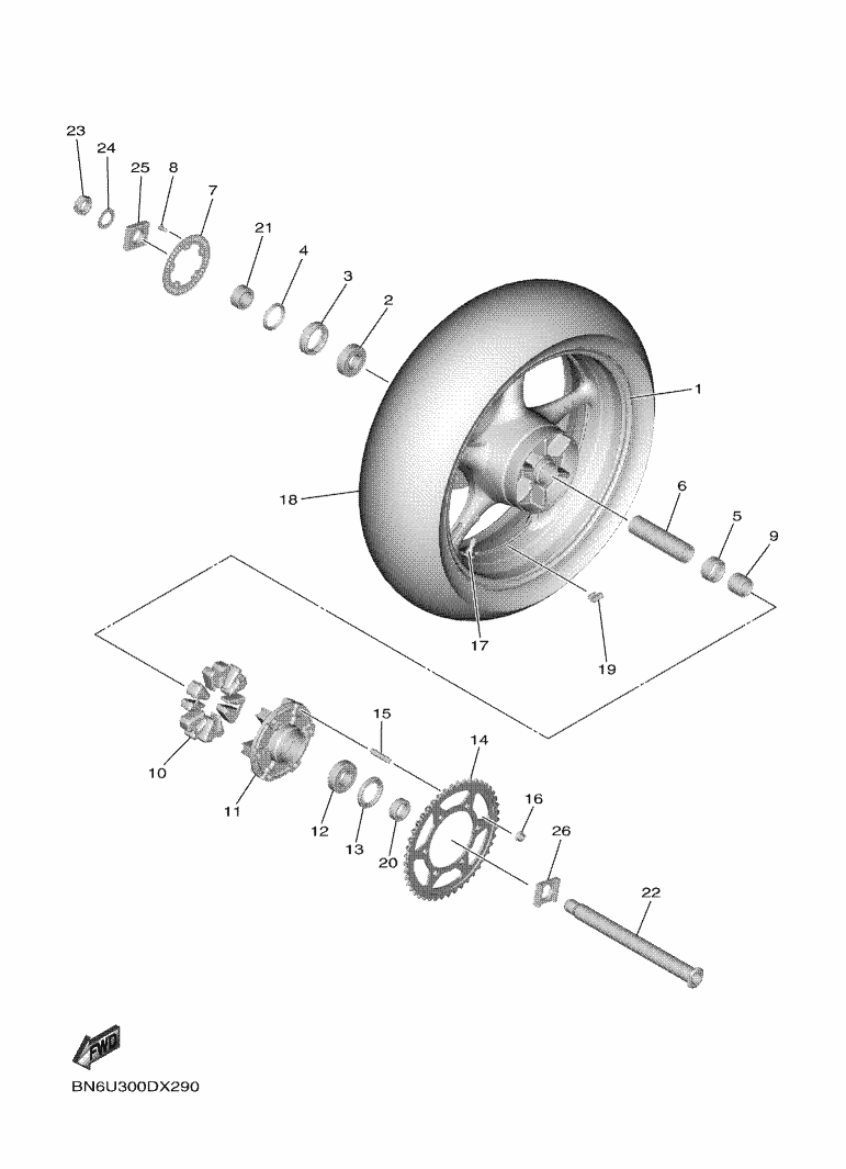Rear Wheel