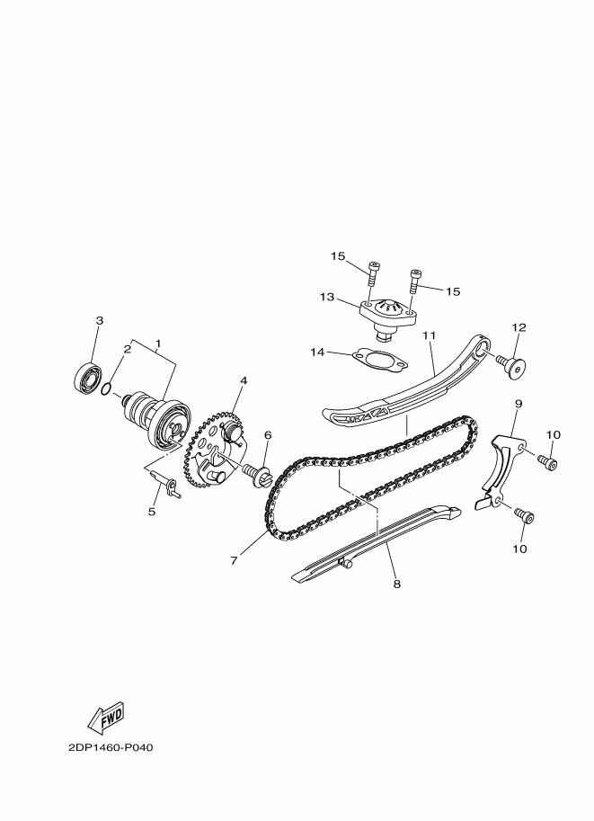 Camshaft & Chain