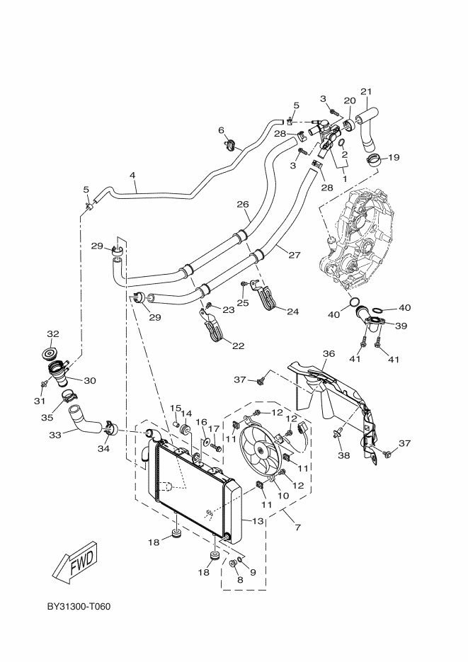 Radiator Hose