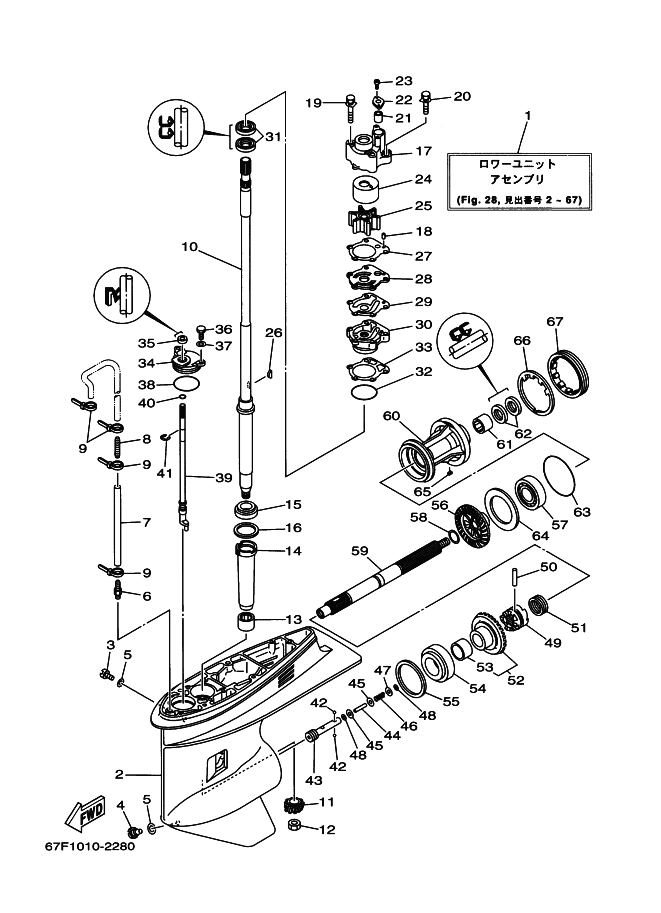 Lower Casing & Drive