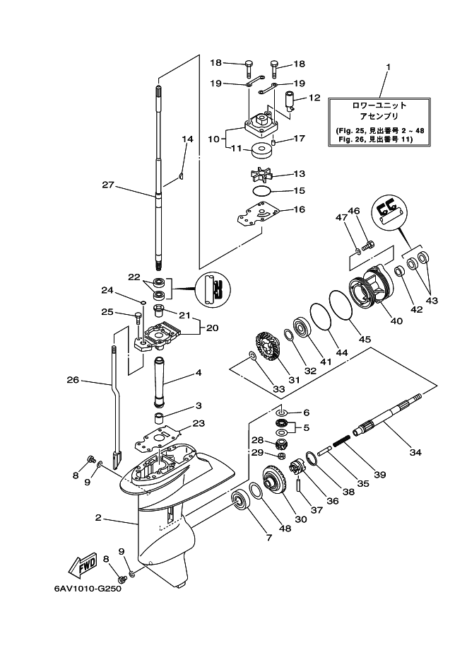 Lower Casing & Drive