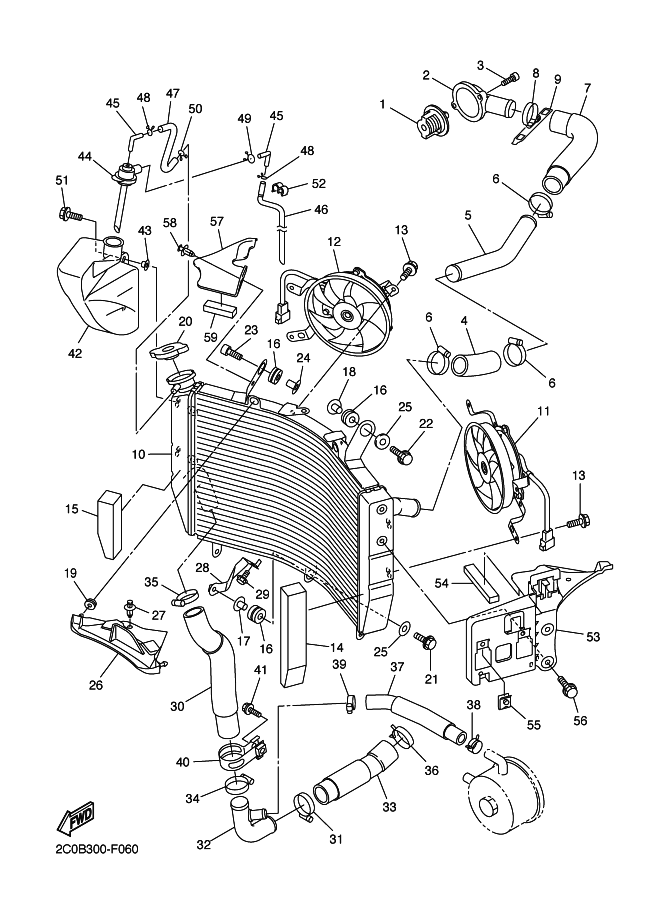 Radiator & Hose