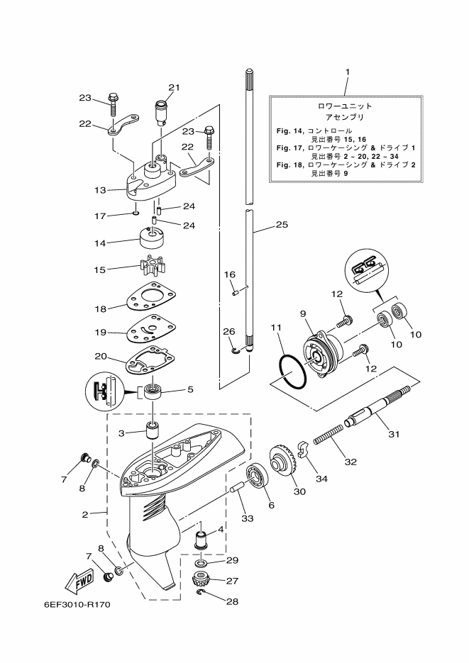 Lower Casing & Drive