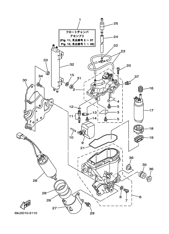 Fuel Injection Pump